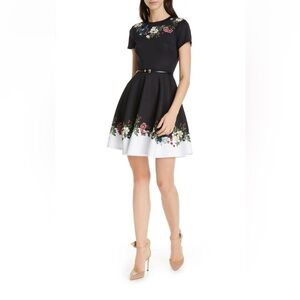 Ted Baker London Chestna Oracle Skater Dress ( Size 1-  USA-4